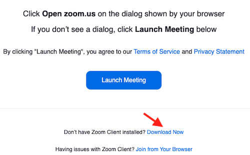 Download Zoom Client